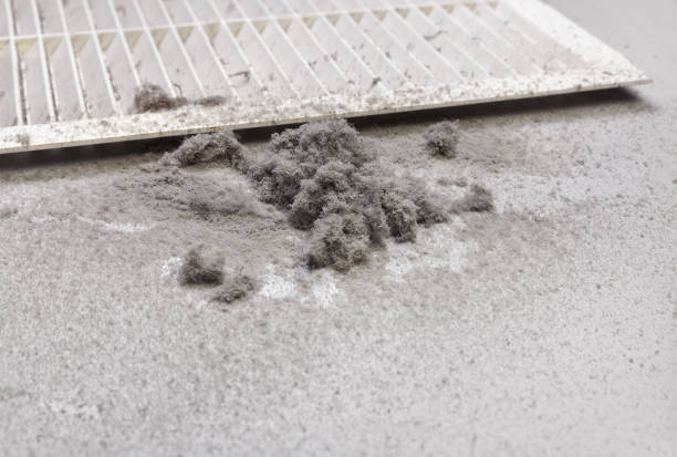 Air Duct Mold Removal in Smithfield, UT
